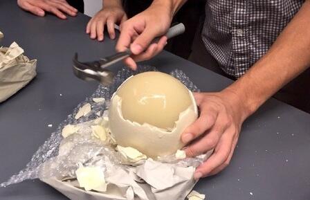 [视频]网友晒鸵鸟蛋拉面 只见鸟蛋没有面