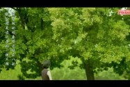 [微电影]爸爸妈妈的橡树