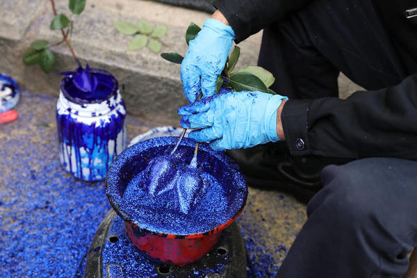 [视频]注意！你送女友的高价“蓝色妖姬”或是这样做出的