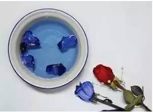 [视频]注意！你送女友的高价“蓝色妖姬”或是这样做出的