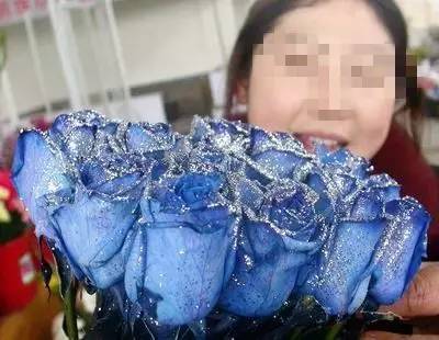 [视频]注意！你送女友的高价“蓝色妖姬”或是这样做出的