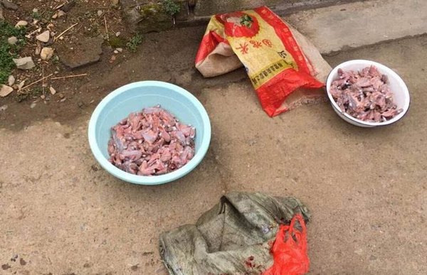 [视频]浙江一农民抓了114只癞蛤蟆被刑拘