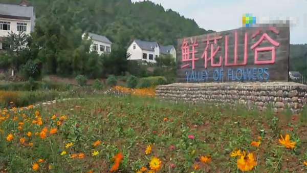 [视频]活出精彩人生 60后夫妻：租1200亩荒山 建私家花园