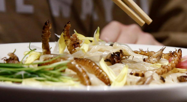 [视频]日本餐厅推出“虫拉面” 4小时售完100碗