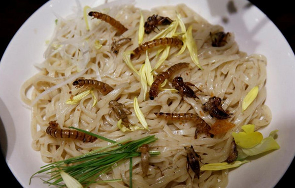 [视频]日本餐厅推出“虫拉面” 4小时售完100碗