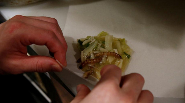 [视频]日本餐厅推出“虫拉面” 4小时售完100碗