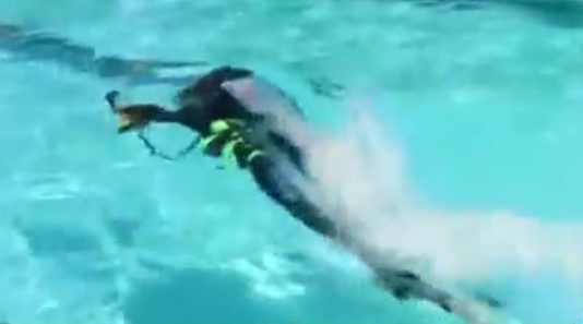 [视频]火箭人！水下推进器 游泳“飞”起来