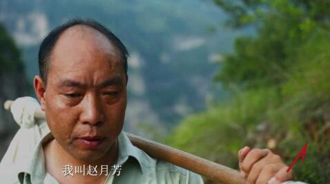 [视频]十九大代表赵月芳：“猫路”上的信使