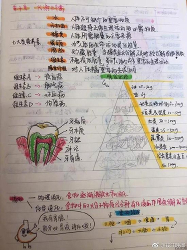 [视频]杭州：初三女生将笔记整理成绘本 每页彩色插画配文字