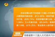 湖南省第十三届人大代表共766名