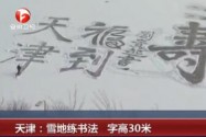 [视频]天津：大爷雪地练书法 拖把当毛笔字高30米