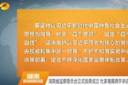 湖南省监察委员会正式挂牌成立 杜家毫揭牌并讲话