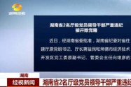 湖南省2名厅级党员领导干部严重违纪被开除党籍