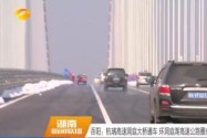 岳阳：杭瑞高速洞庭大桥通车 环洞庭湖高速公路圈成型