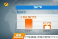 2017年湖南服务业增势强劲 营收突破3000亿元大关