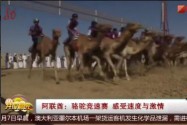 [视频]阿联酋：骆驼竞速赛 感受速度与激情