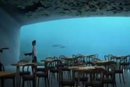 [视频]鲨鱼珊瑚和和海水和你共进晚餐 海底餐厅你敢去吗？