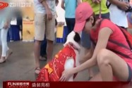 [视频]盛装亮相：新加坡“汪星人”时装秀迎狗年