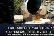[视频]做梦都是假的吗？揭秘做梦的十大真相！