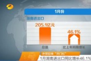 外贸迎来“开门红” 1月湖南进出口同比增长46.1%