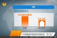 1月湖南省开放型经济指标迎“开门红”