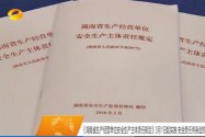 《湖南省生产经营单位安全生产主体责任规定》3月1日起实施 安全责任终身追究