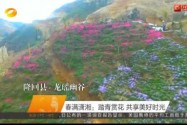 春满潇湘：踏青赏花 共享美好时光