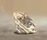 [视频]日本最大的圆形钻石公开展出 起拍价至少2900万人民币