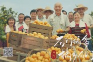 [精准扶贫协力同心]公益广告:石门柑橘