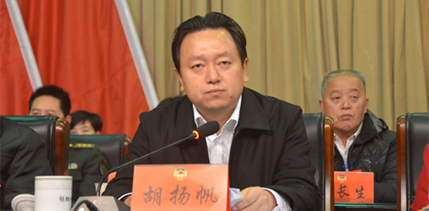 精彩语录 访谈预告/ 嘉宾介绍 胡扬帆:中共洪江市委副书记,洪江市人民